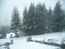 Snow in front of Vancouver Hom * 2400 x 1800 * (742KB)